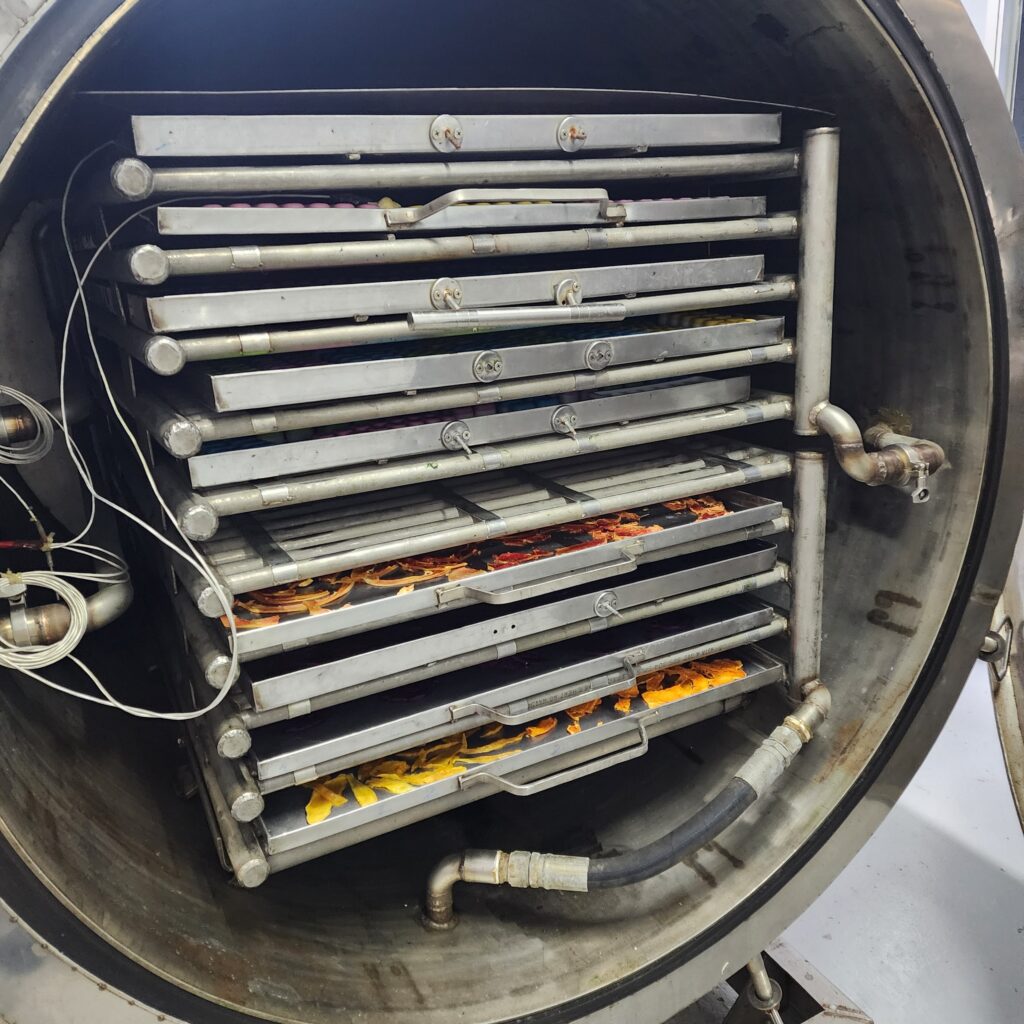 sấy chân không và sấy thăng hoa