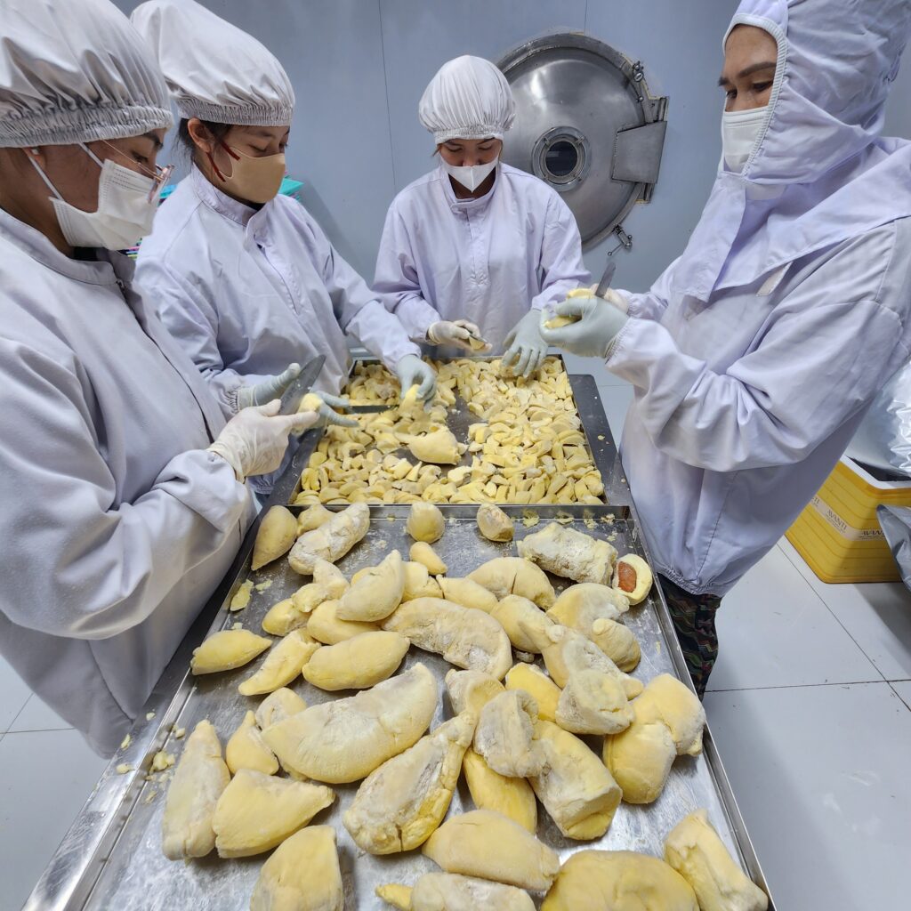 sấy chân không và sấy thăng hoa