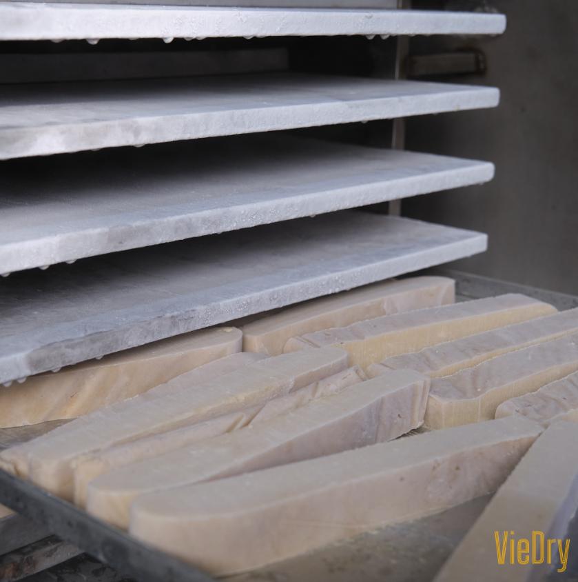 Giai đoạn sơ cấp