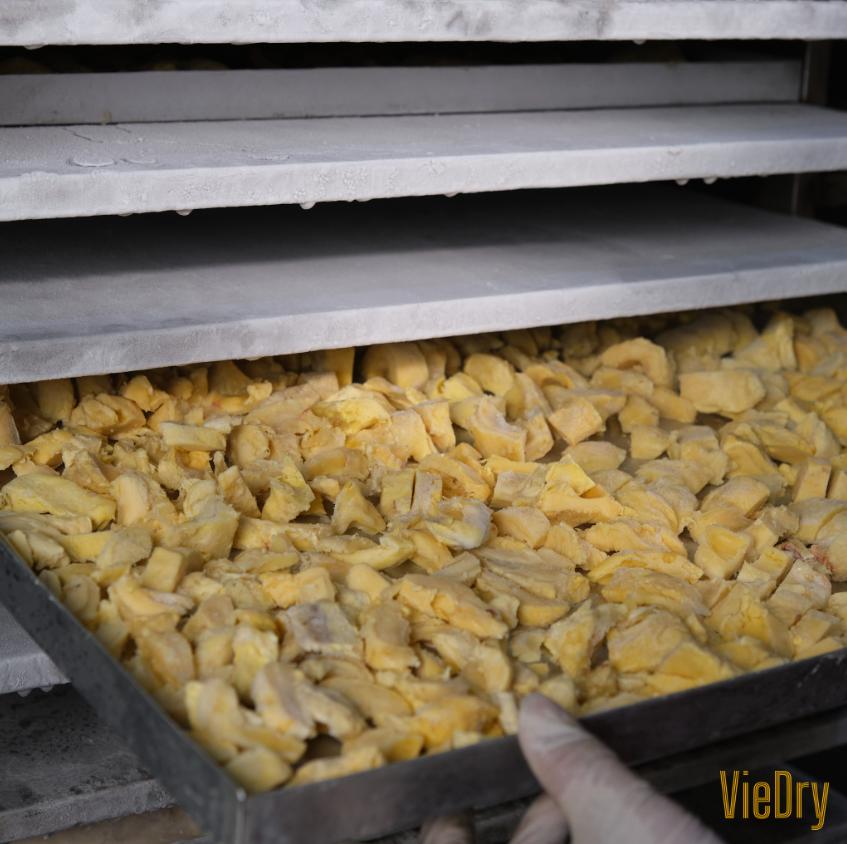 Sấy thăng hoa là gì